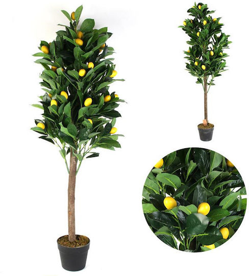 Λεμονιά Εξωτερικού Χώρου Πράσινη 120cm The Home Deco Factory