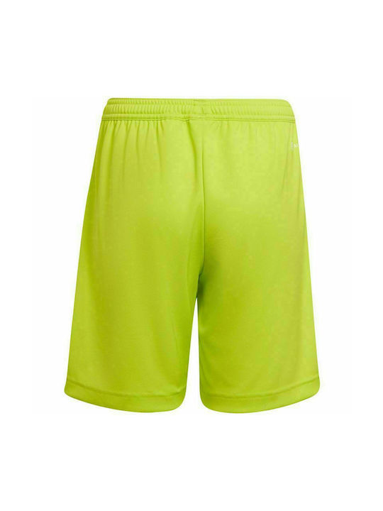 Adidas Sportliche Kinder Shorts/Bermudas Entrada 22 Grün