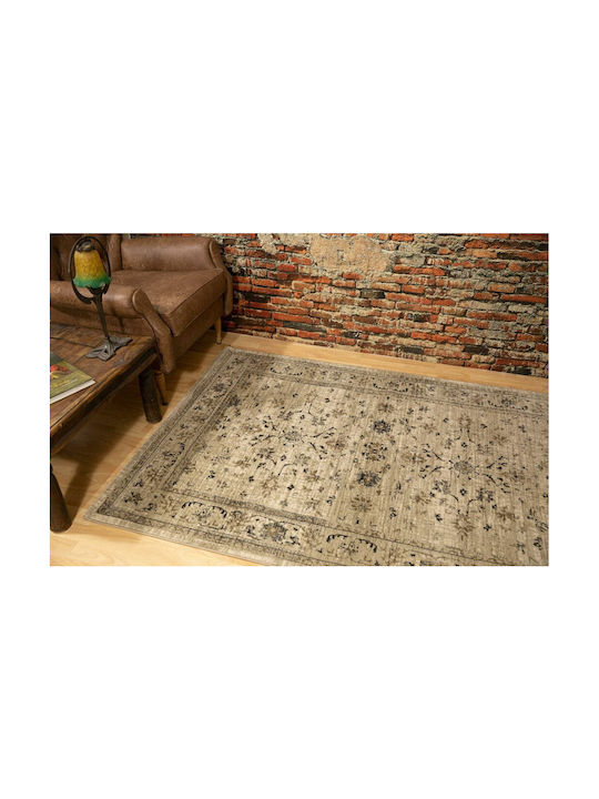 Ezzo Antika 6299AHY Rug Rectangular Beige 1-6299AHY-B