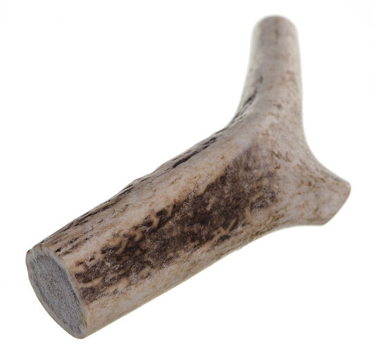 4Dogs Chew Hard XL Horn Hund aus Hirsche