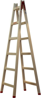 Profal Professional Ladder Wooden with 2x6 Steps 200cm