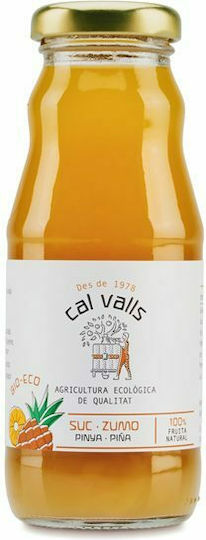 Cal Vall Βιολογικός Χυμός Ανανά Χωρίς Ζάχαρη 200ml