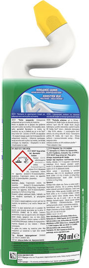 Duck Total Action Cleansing Gel Toilet Πεύκο 2x750ml