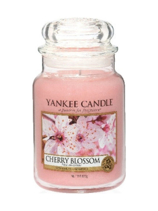 Yankee Candle Scented Candle Jar with Scent Cherry Blossom Pink 104gr 1pcs