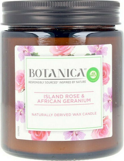 Airwick Botanica Αρωματικό σε Βάζο Τριαντάφυλλο Και Αφρικανικό Γεράνι Airwick Botanica Αρωματικό σε Βάζο Τριαντάφυλλο Και Αφρικανικό Γεράνι