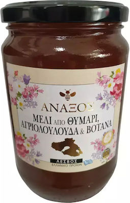 ΑΝΑΞΟΣ Μέλι Ανθέων 980gr