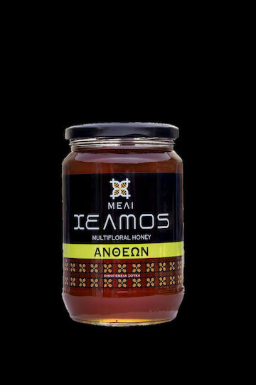 Χελμός Μέλι Ανθέων 480gr