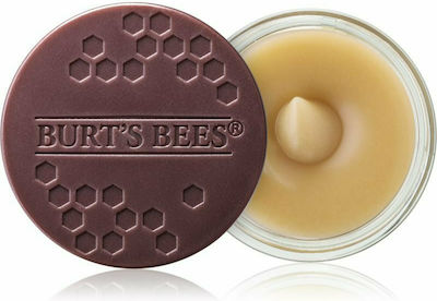 Burt's Bees Lip Scrub Exfoliating Honey Crystals 7gr