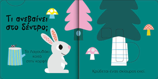 Search Find Say Animals of the Forest