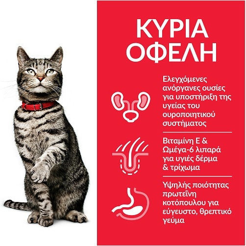 Hill's Science Plan Adult Urinary & Sterilised Hrană Uscată pentru Pisici Sterilizate Adulte cu Pui 0.3kg