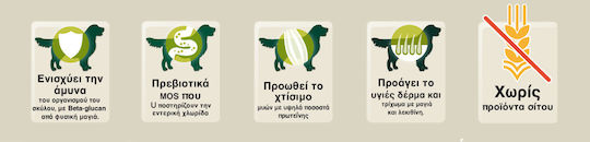 Bewi Selection Υγρή Τροφή Σκύλων σε Κονσέρβα με Πουλερικά χωρίς Σιτηρά 400gr