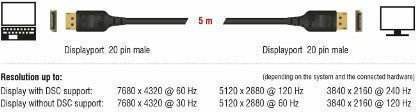 DeLock Cable DisplayPort Male - DisplayPort Male 5m Black (85663)