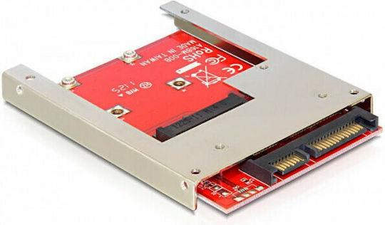 DeLock Convertor SATA la mSATA Frame 2.5" (61892)