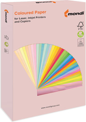 Fabriano Copy Tinta Printing Paper A4 80gr/m² 500 sheets Cipria