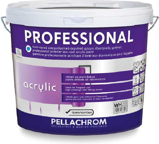 Pellachrom Professional Acrylic Plastic Acrilyc Paint for Exterior Use White 750ml