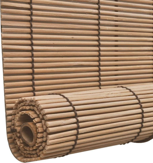 vidaXL Stor de Umbrire Bambus Cafea 2τμχ L100xH160buc