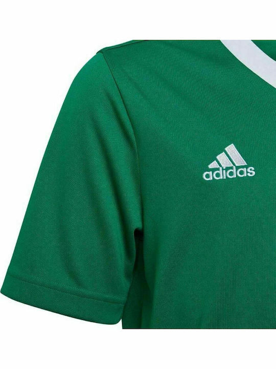Tricou pentru copii Verde Entrada 22