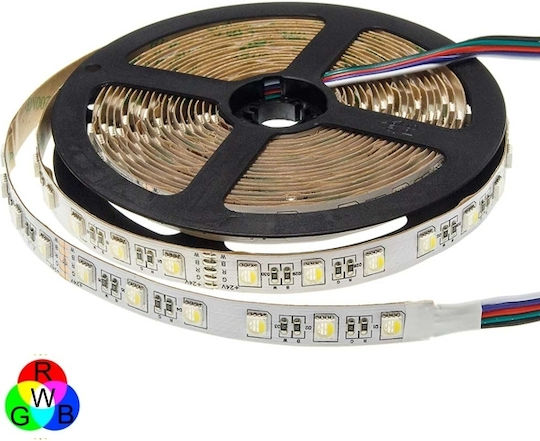 Optonica Ταινία LED 12V RGBW Φως 5m Τύπου SMD5050