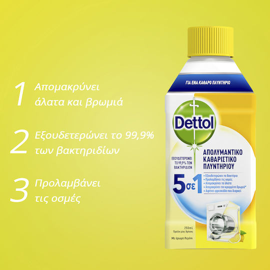 Dettol Disinfectant Disinfectant Liquid Washing Machine Cleaner Lemon Scent 250ml