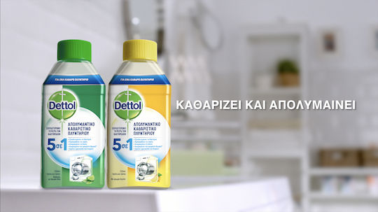 Dettol Disinfectant Disinfectant Liquid Washing Machine Cleaner Lemon Scent 250ml