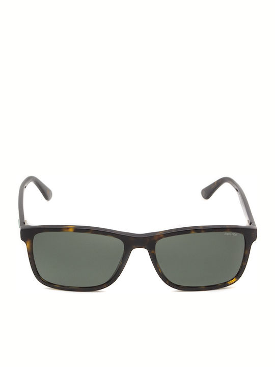 Police Men's Sunglasses with Brown Tartaruga Acetate Frame PL998 0722