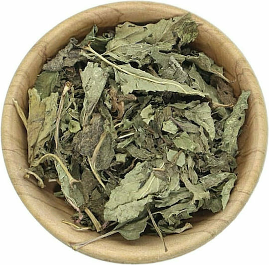 Μέντα Αποξηραμένη Spices Bazaar 100γρ