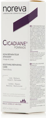 Noreva Cicadiane Moisturizing Cream Suitable for Sensitive Skin 40ml