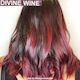 Manic Panic Professional Temporary Hair Dye Div...