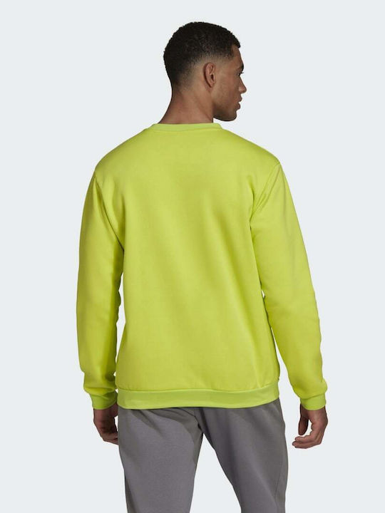 Adidas Entrada 22 Men's Sweatshirt Yellow