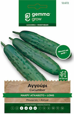 Gemma Seeds Cucumber 4gr/120pcs