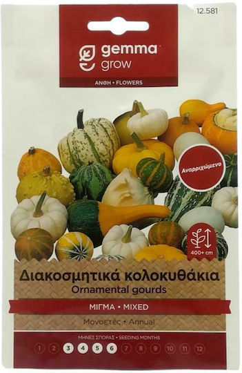 Gemma Seeds Pumpkinς Zucchini for Blossom 2gr
