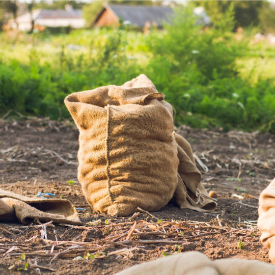 Jute Olive Harvesting Bag 60x110cm 1pc