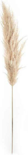 Decorative Feather Pampas Grass Beige 115cm Diosera