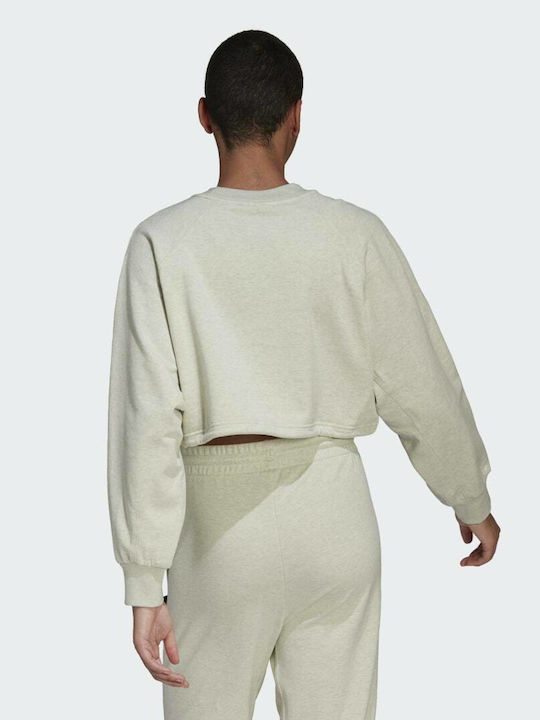 adidas Sportswear Studio Lounge Summer Sweatshirt Botanic Green Melange