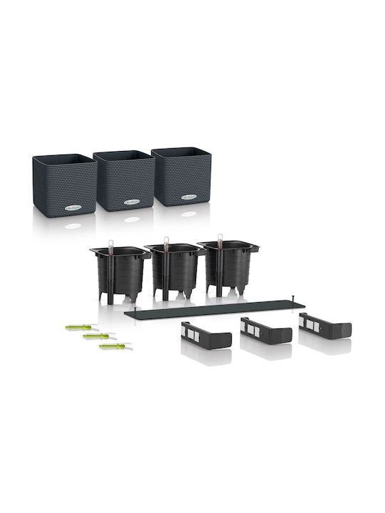 Lechuza Green Wall Home Kit Color Γλάστρα Αυτοποτιζόμενη / Κρεμαστή σε χρώμα Μαύρο 48x14cm