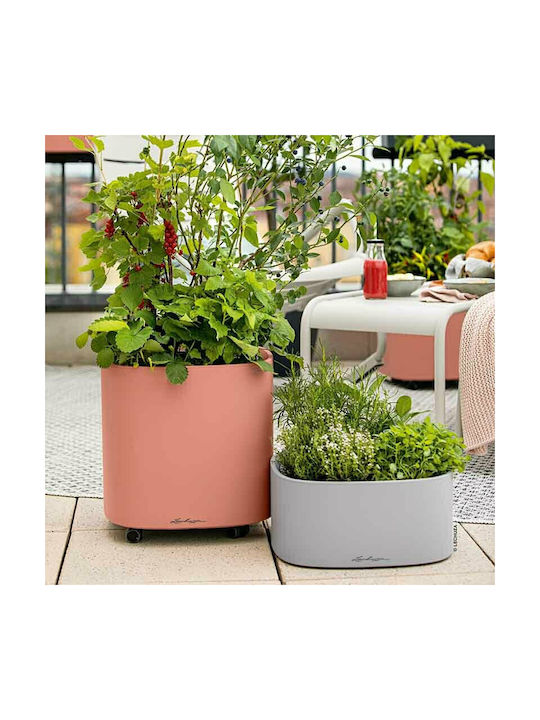 Lechuza Pila Stick Self-watering Planter Box Plastic Light Grey 35x35x16.6cm.