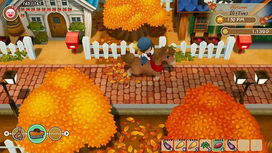 Story Seasons Friends of Mineral Town PS4 Game