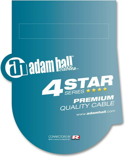 Adam Hall Cable 2x 6.3mm male - 2x 6.3mm male 0.3m (56101-050)