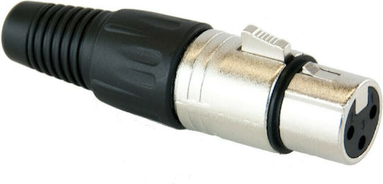 Invotone XLR3F100 Stecker XLR weiblich Mehrfarbig (99-1917)