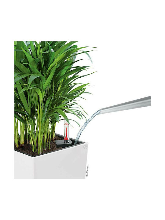 Lechuza Cubico Self-watering Pot Plastic Sand Brown 22x22x41cm.