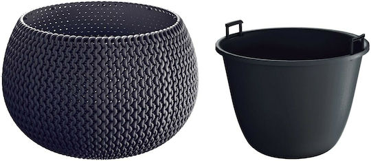 Prosperplast Splofy Bowl Planter cm Pot Plastic Prosperplast Splofy Bowl Planter cm Pot Plastic
