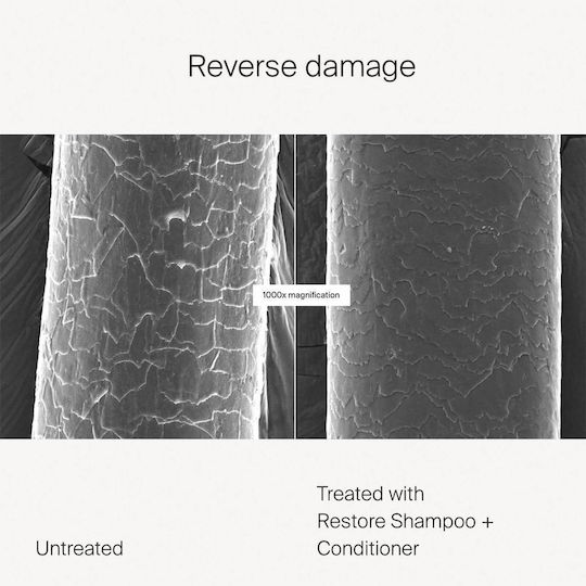 Restore Σαμπουάν Αναδόμησης/Θρέψης 236ml