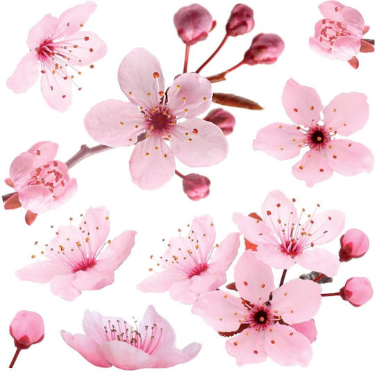 Ango Kids Vinyl Wall Sticker Cherry Blossom 58x72cm
