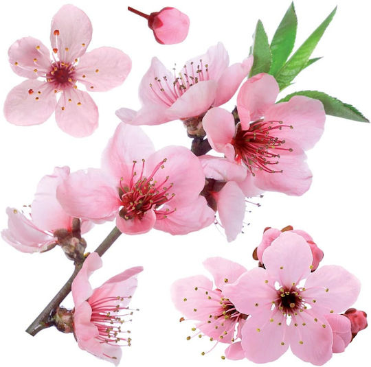 Ango Παιδικό Διακοσμητικό Αυτοκόλλητο Τοίχου Cherry Blossom 58x72εκ.