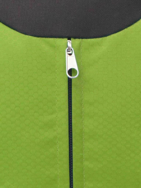 vidaXL Backpack 40lt Πράσινο