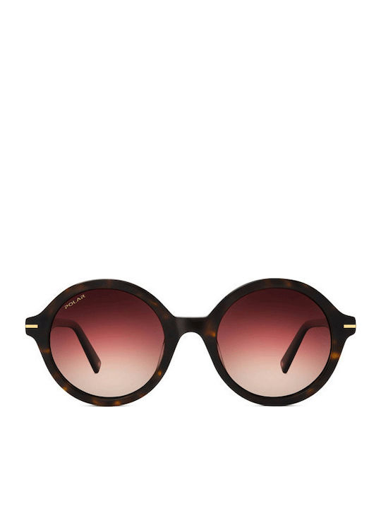 Polar Ochelari De Soare Maro Cu Ramă Din Plastic / Acetat Polar Ochelari De Soare Maro Cu Ramă Din Plastic / Acetat