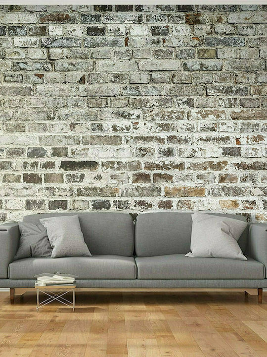 Fototapet de Perete 300x210cm Old Walls Tesatura