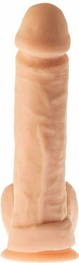 Dream Toys Mr Dixx Macho Max Glass Dildo with Balls and Suction Cup Flesh 21cm