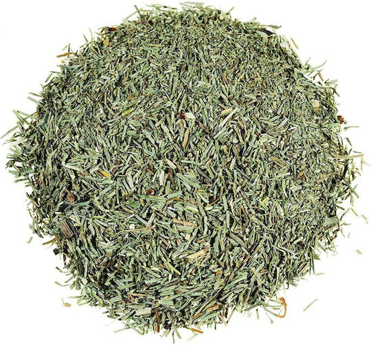 MPACHARADIKO Puzzlegrass-Horsetails 300gr