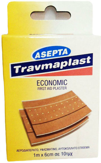 Asepta Travmaplast Economic Αυτοκόλλητα Επιθέματα 100x6cm 10τμχ